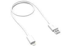 Explore fast-charging Lightning cables for iPhone and iPad