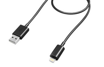Lightning Male to USB Male (Black)